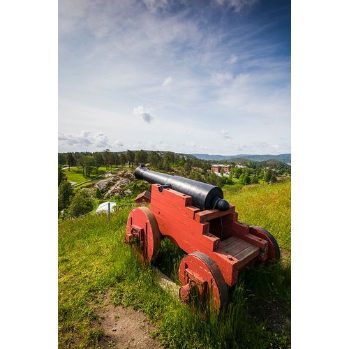 Bibikow, Walter 아티스트의 Norway-Ostfold County-Halden-Fredriksten Fortress-historic cannons작품입니다.